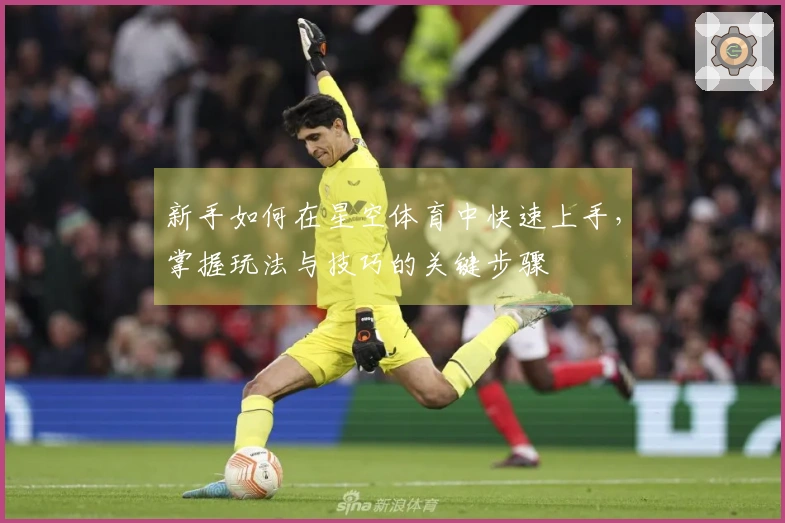 新手如何在星空体育中快速上手，掌握玩法与技巧的关键步骤