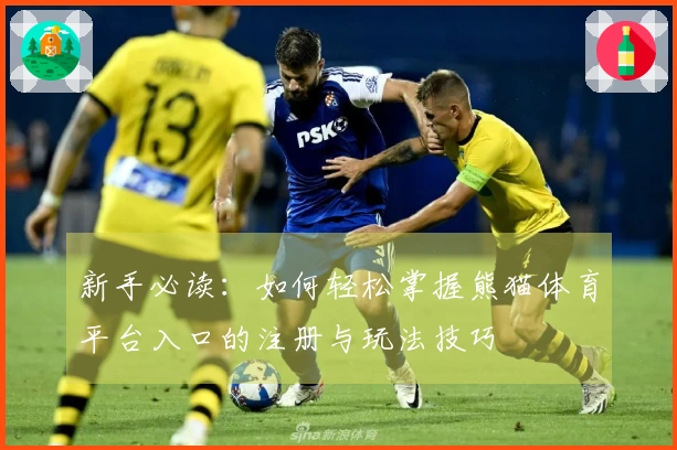 新手必读：如何轻松掌握熊猫体育平台入口的注册与玩法技巧