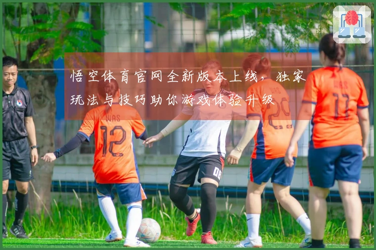 悟空体育官网全新版本上线，独家玩法与技巧助你游戏体验升级