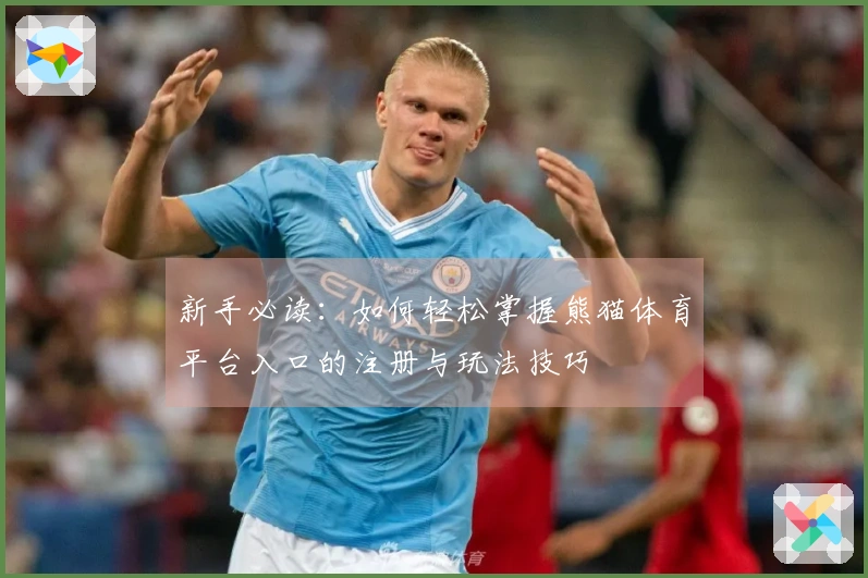 新手必读：如何轻松掌握熊猫体育平台入口的注册与玩法技巧