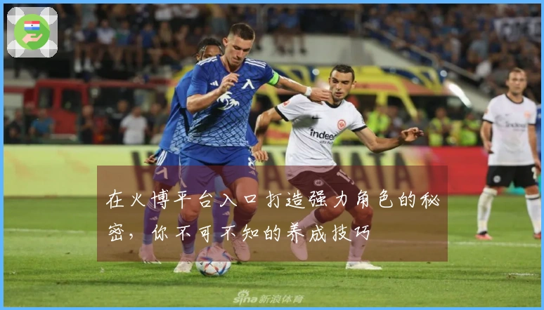 在火博平台入口打造强力角色的秘密，你不可不知的养成技巧